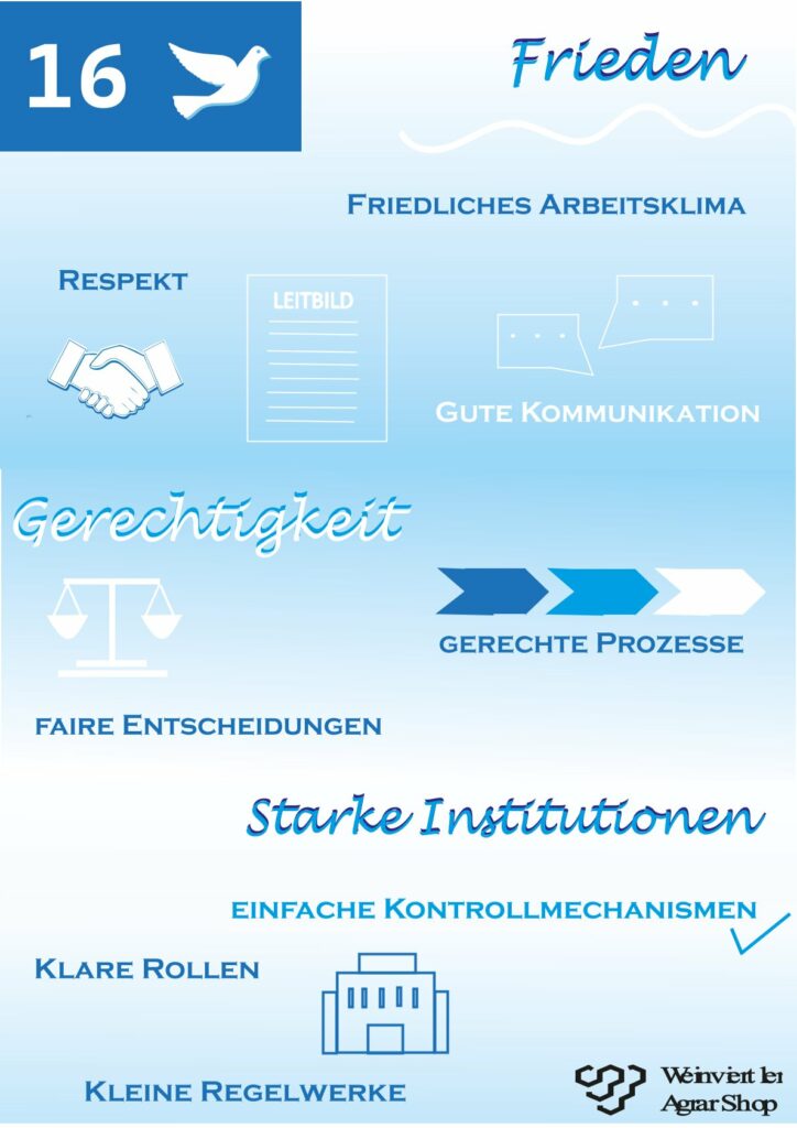 Grafik mit den Begriffen Frieden, Respekt, Gerechtigkeit und starke Institutionen in einem hellblauen Design.
