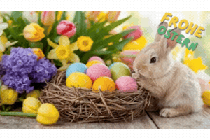 🐣 Frohe Ostern wünscht das ACT-Team! 🌷